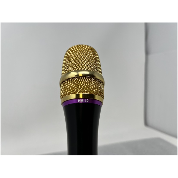 Heil Sound HM-12 Full Range Microphone Gold - Image 11